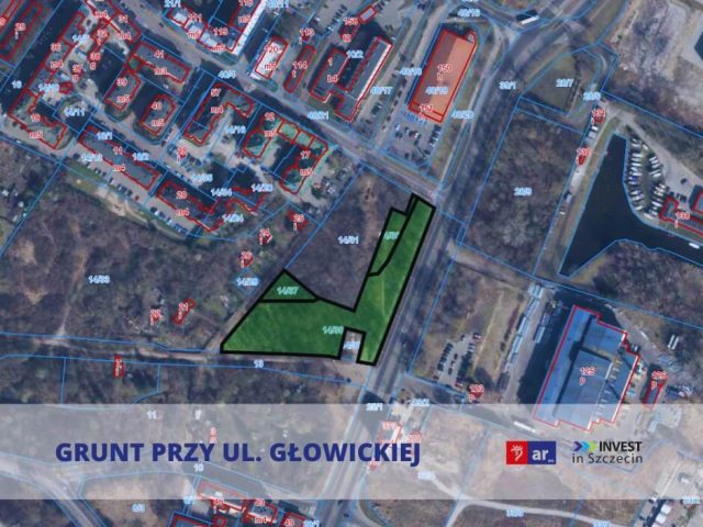 Głowicka